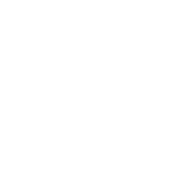 Flexion Distraction Disc Management Techniques