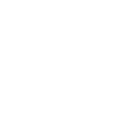 Chiropractic Spinal Adjustments