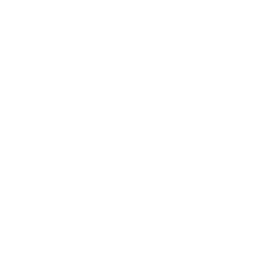 Complete Orthopedic and Neurologic Examination