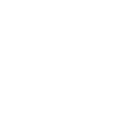 Diagnostic X-Ray and Interpretation